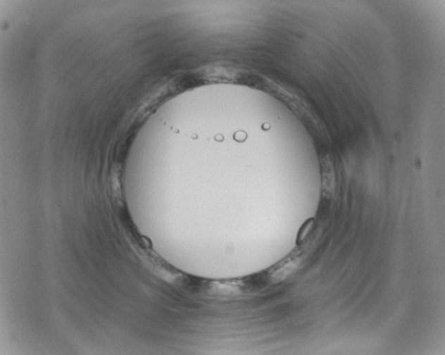 X0000076250573200609280950