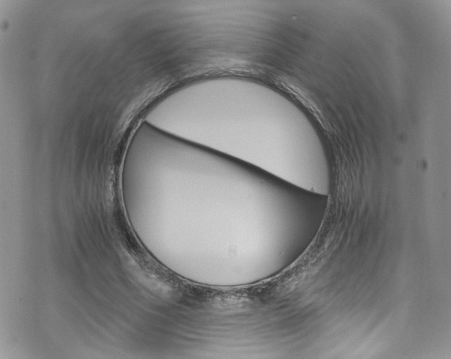 X0000076250586200609280949