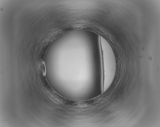 X0000076250601200609280949