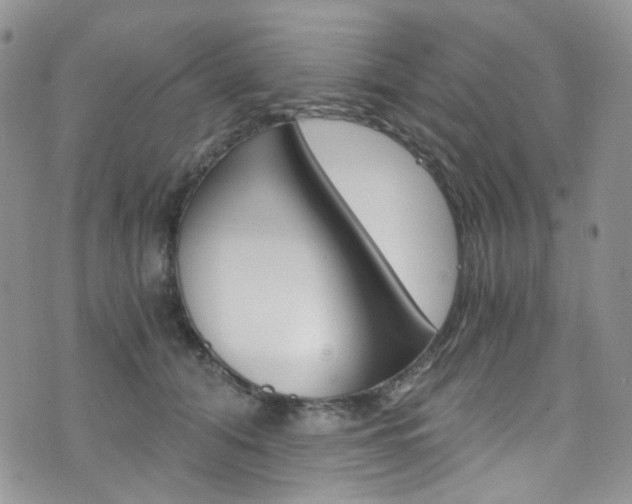 X0000076250608200609280949