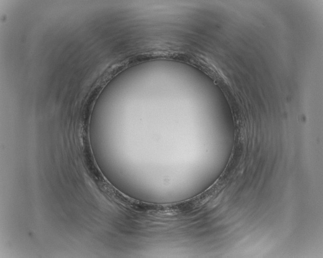 X0000076250643200609280948