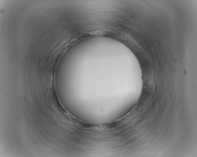 X0000076250652200609280948
