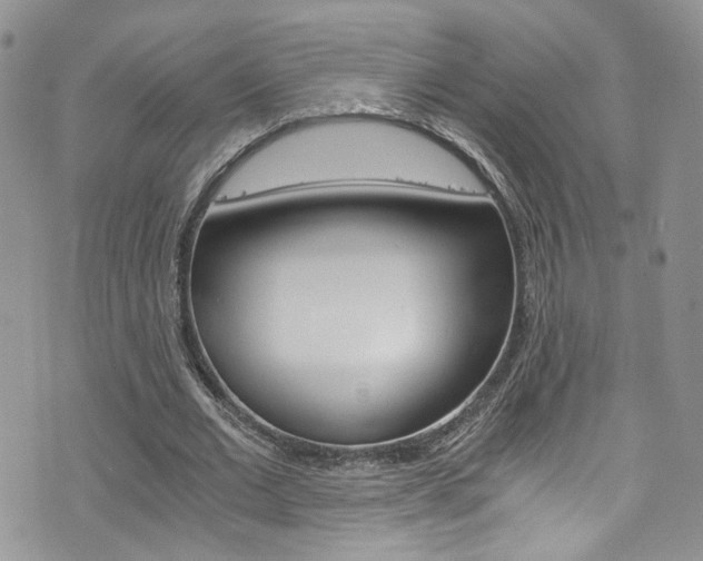 X0000076250677200609280948