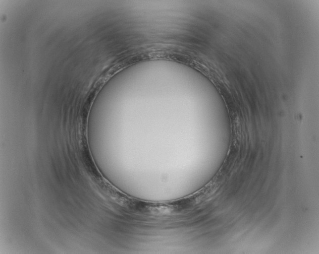 X0000076250698200609280948