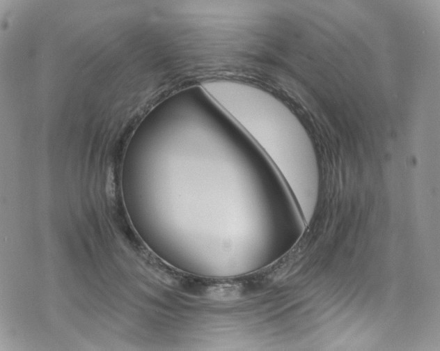 X0000076250700200609280948