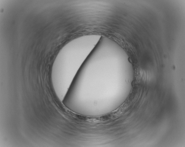X0000076250703200609280948