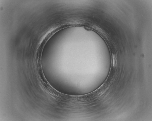 X0000076250723200609280947