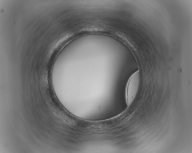 X0000076250727200609280947