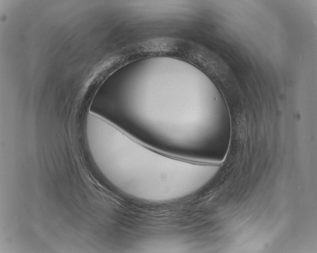 X0000076250731200609280947