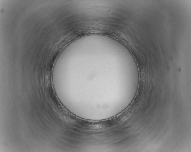 X0000076250741200609280947