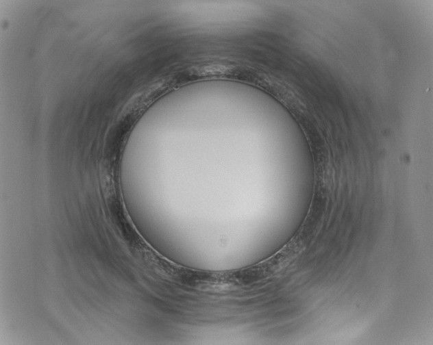X0000076250743200609280947