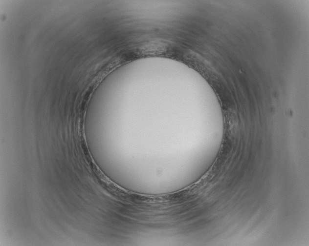 X0000076250745200609280947