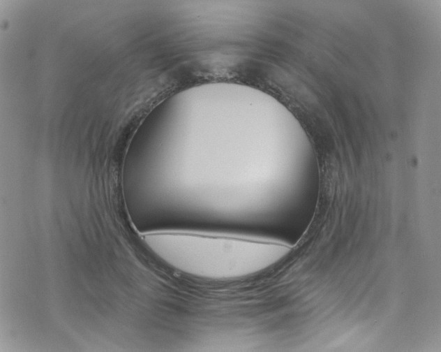 X0000076250747200609280947