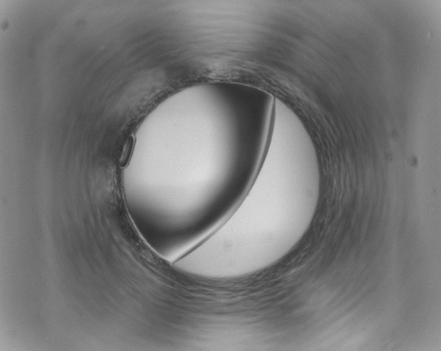 X0000076250748200609280947