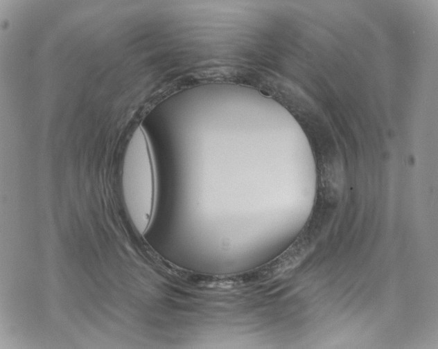 X0000076250751200609280947