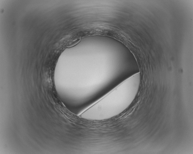 X0000076250771200609280946