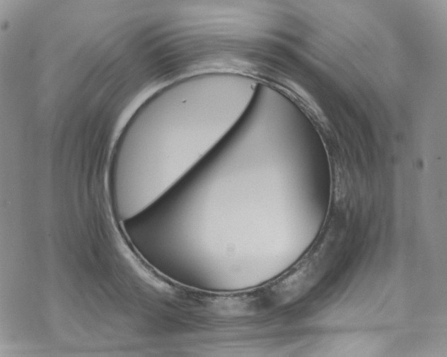 X0000076250796200609280946