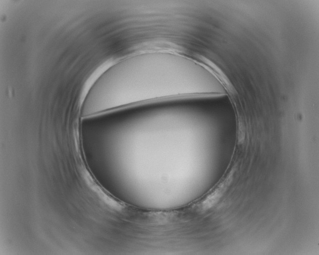 X0000076250812200609280946