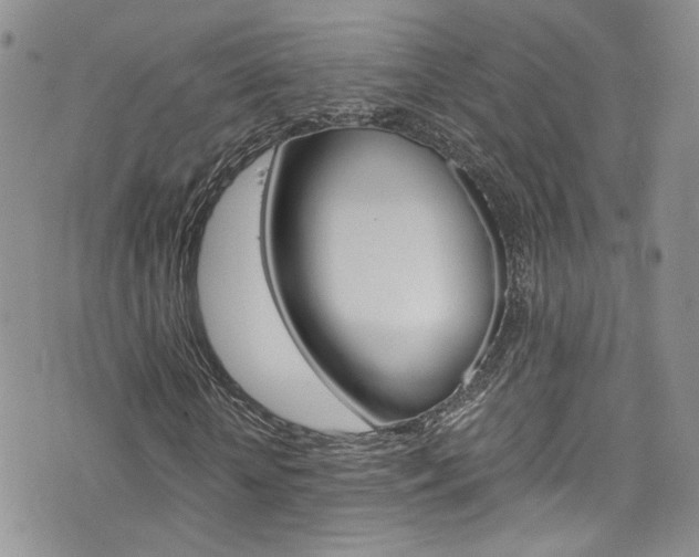 X0000076250818200609280945