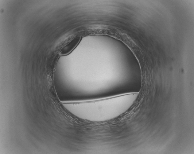 X0000076250821200609280945