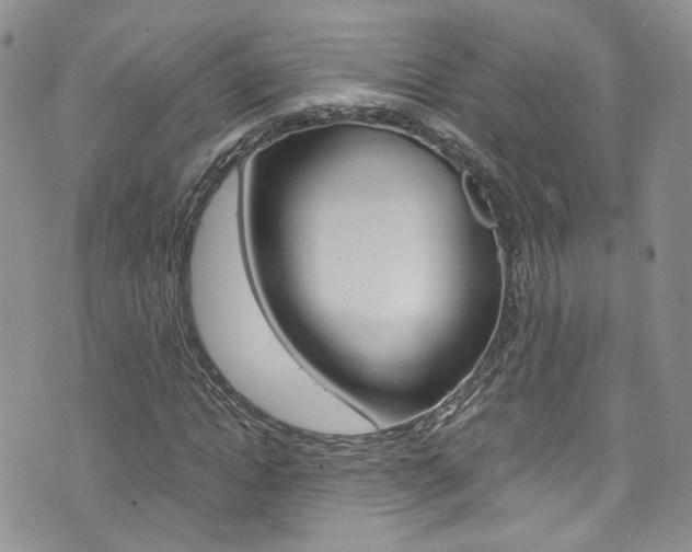X0000076250822200609280945