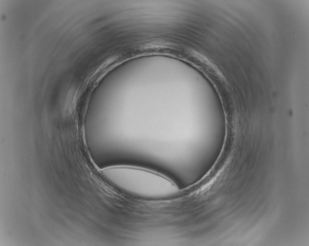 X0000076250825200609280945
