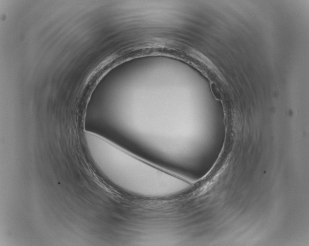 X0000076250826200609280945