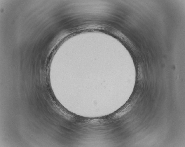 X0000076250828200609280945