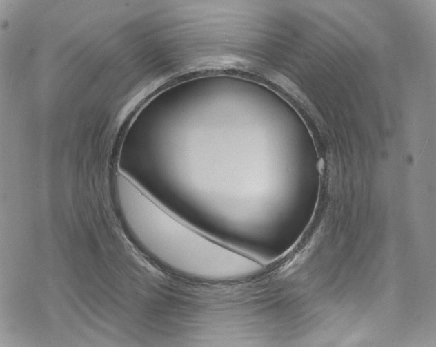 X0000076250834200609280945
