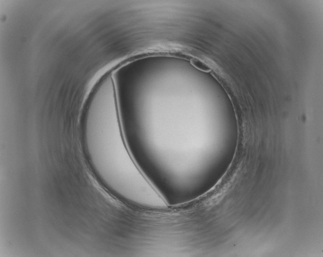 X0000076250838200609280945