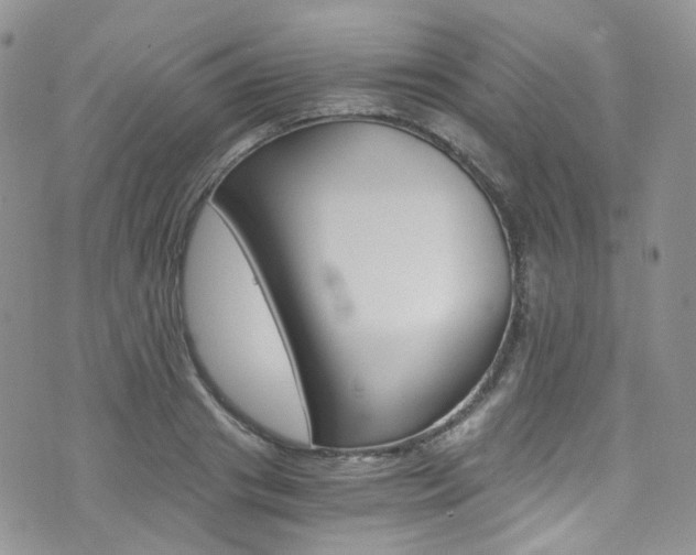 X0000076250841200609280945