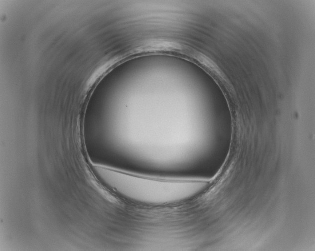 X0000076250842200609280945