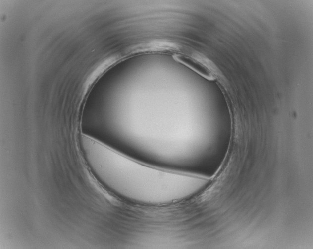 X0000076250850200609280945