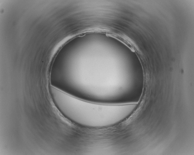 X0000076250854200609280946