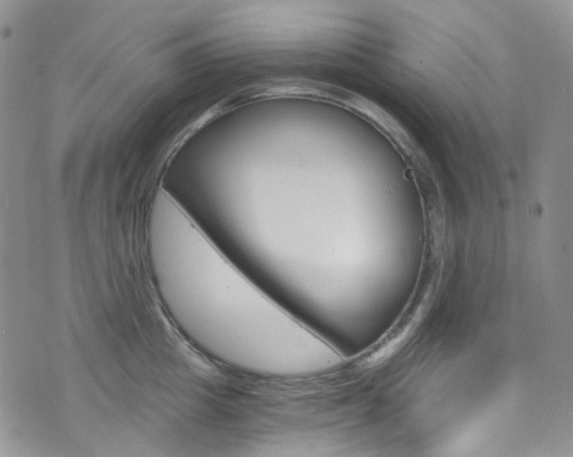 X0000076250857200609280946