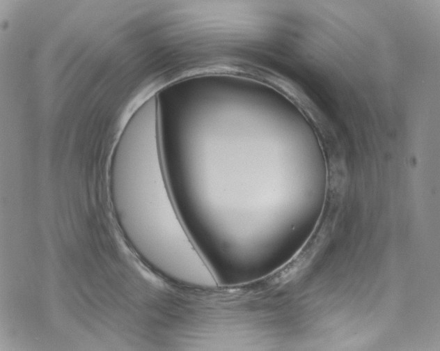 X0000076250858200609280946