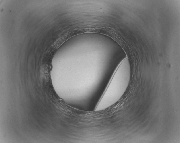 X0000076250867200609280945