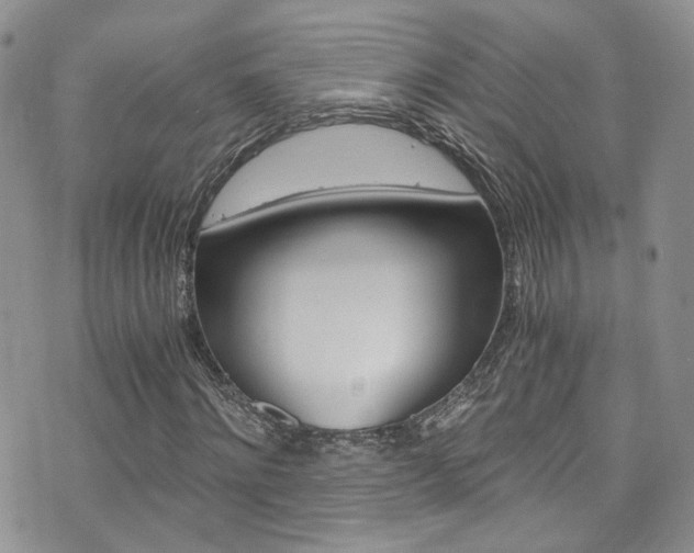 X0000076250868200609280945