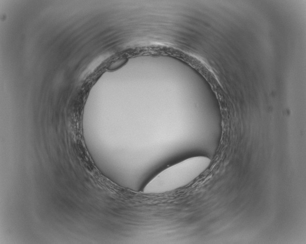 X0000076250871200609280945