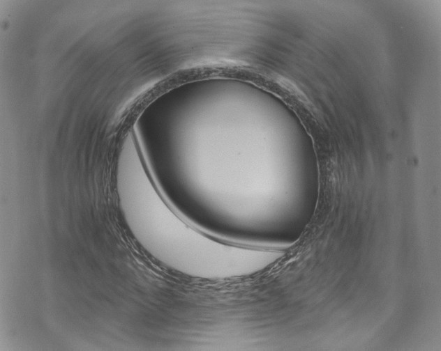 X0000076250872200609280945
