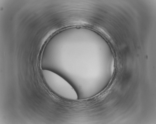 X0000076250883200609280945
