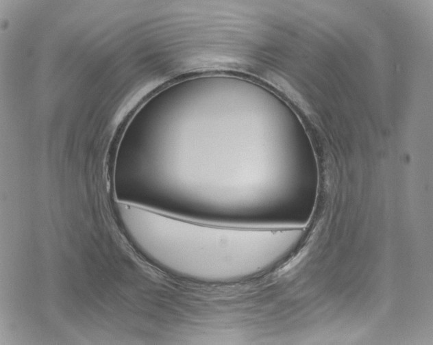 X0000076250885200609280945