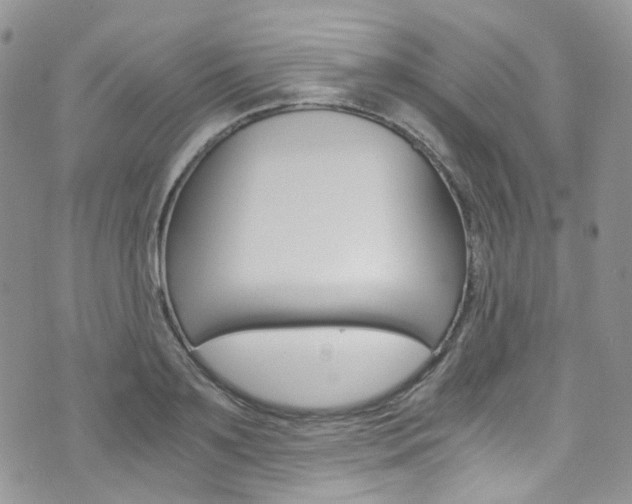 X0000076250891200609280945