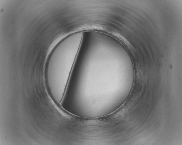 X0000076250894200609280944
