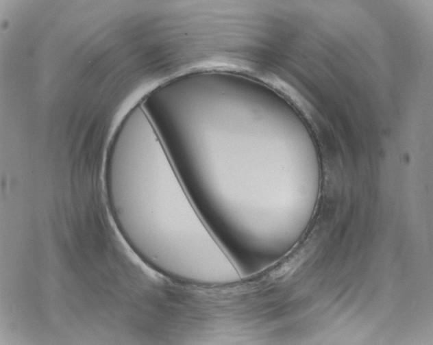 X0000076250902200609280944