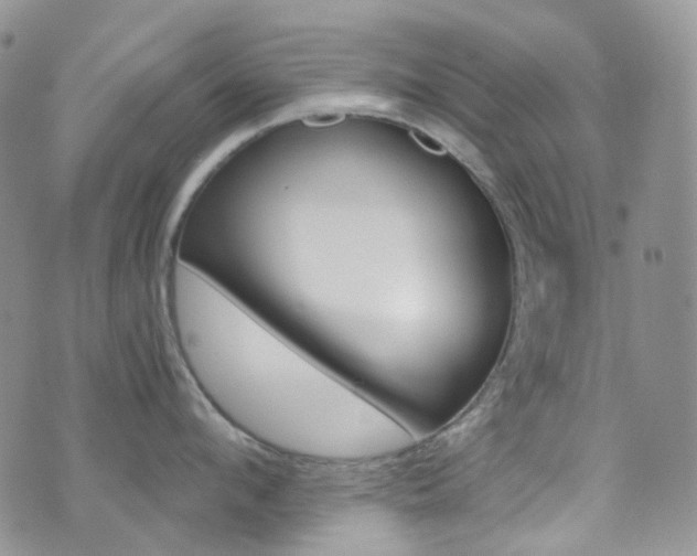 X0000076250912200609280944