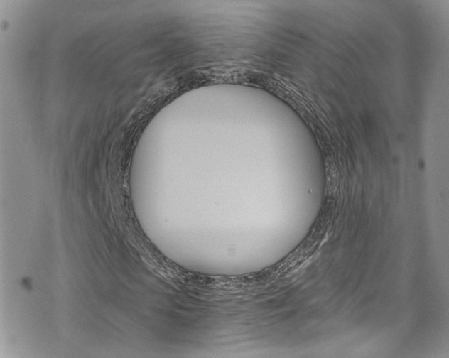 X0000076250913200609280943