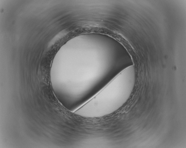 X0000076250919200609280943