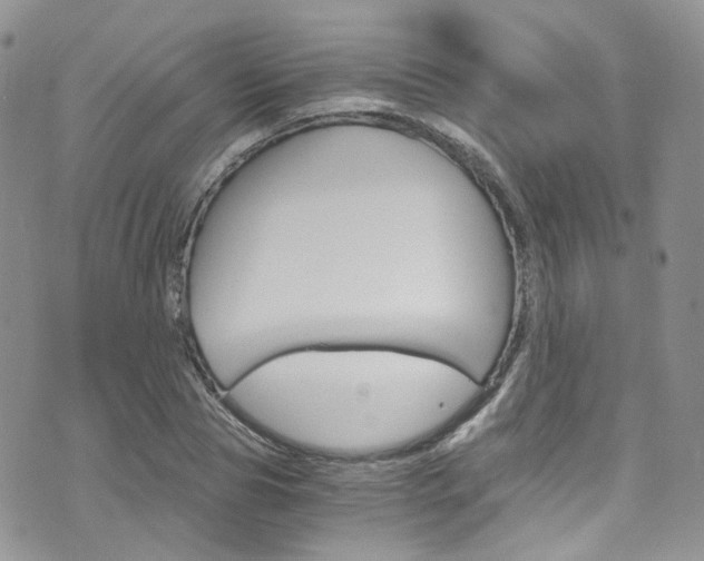 X0000076250929200609280944
