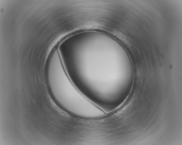 X0000076250934200609280944